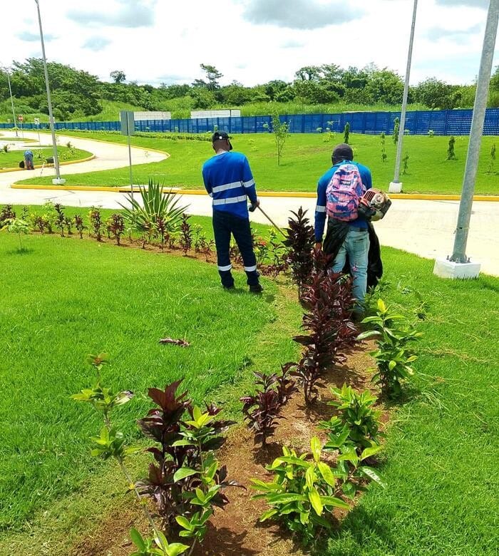 JARDINERIA 2 (1)