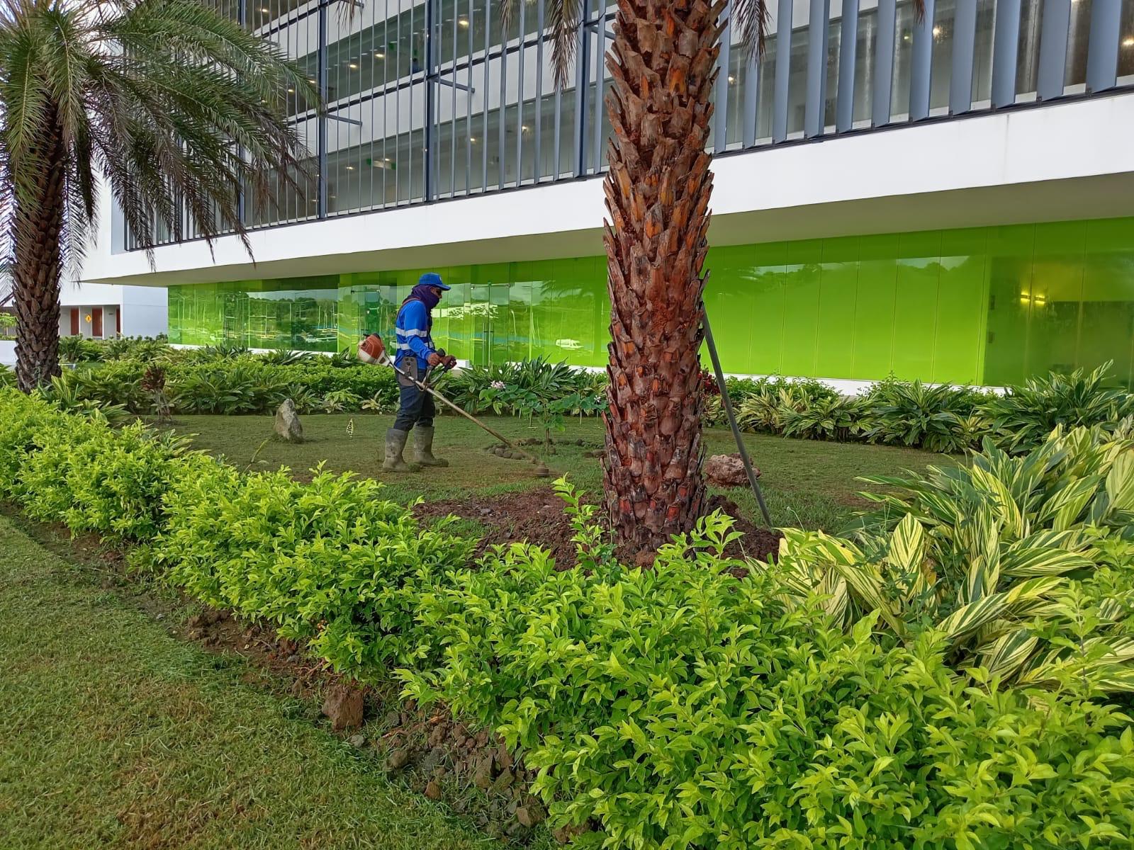 JARDINERIA 3